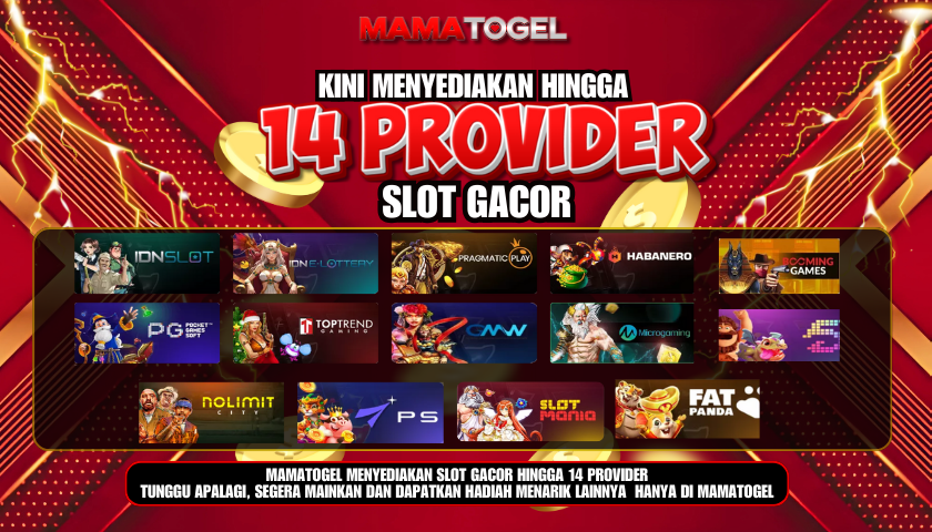 14 PROVIDER